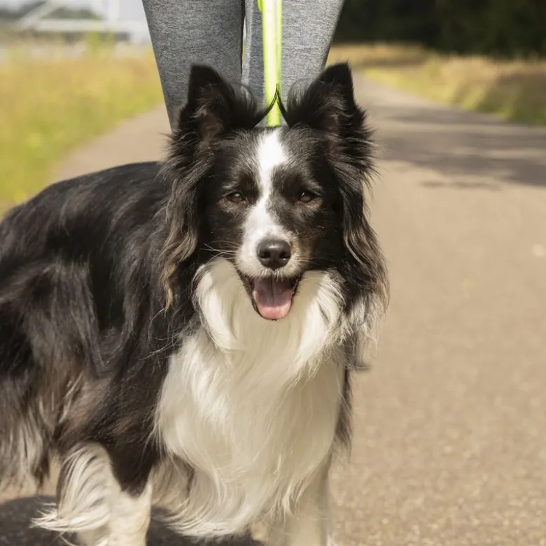 FLAMINGO joggingsele med snor