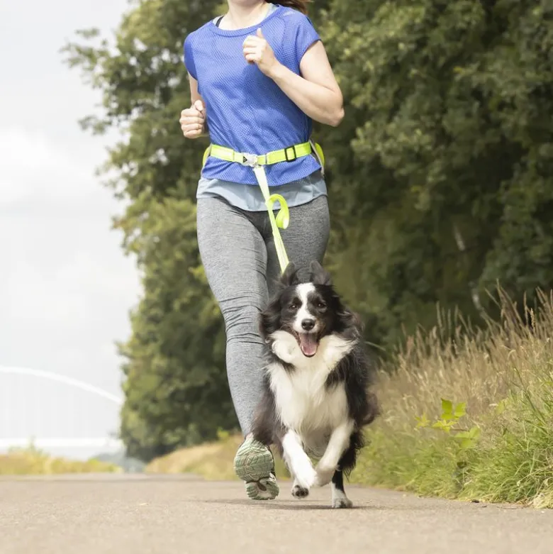 FLAMINGO joggingsele med snor