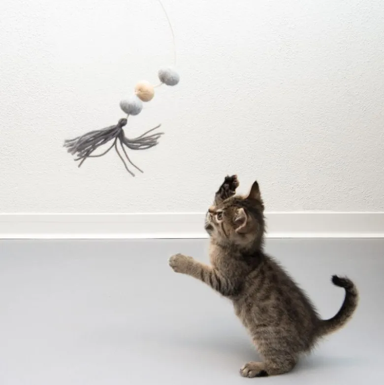 Flauschi drillepind