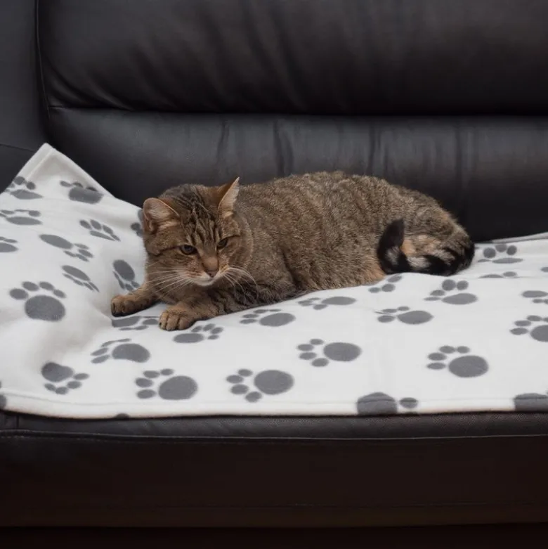 Fleecetæppe Pawty