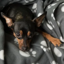 Fleecetæppe Pawty
