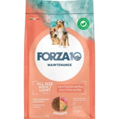 Forza 10 Light Maintenance Light Tun & Ris