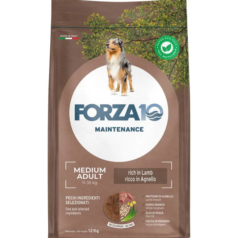 Forza 10 Medium Maintenance lam og ris