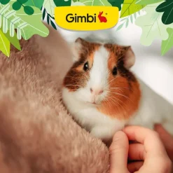 Gimbi Gnaver-Malt Paste