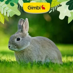 Gimbi Mother Nature Kanin