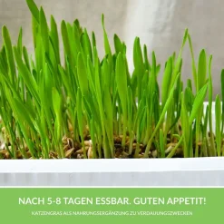 GimCat Hydro-Gras 150 g