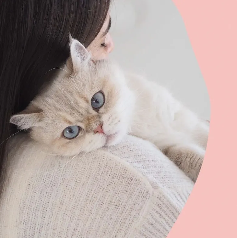 GimCat Nutri Biotin Bites med laks