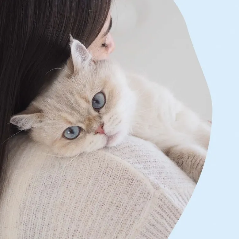 GimCat Nutri Killing Bites med mælk