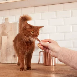 GimCat Sticks