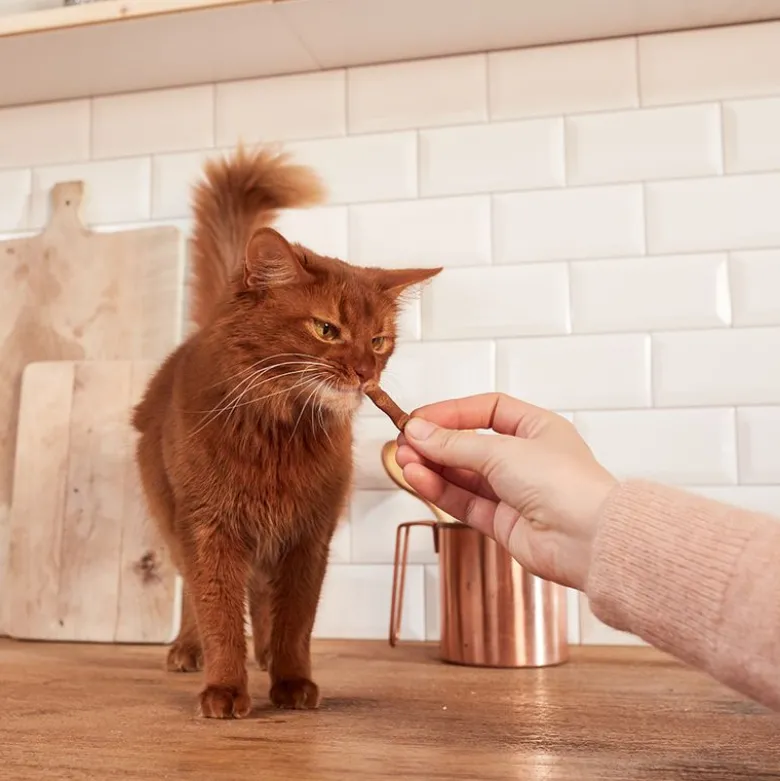 GimCat Sticks