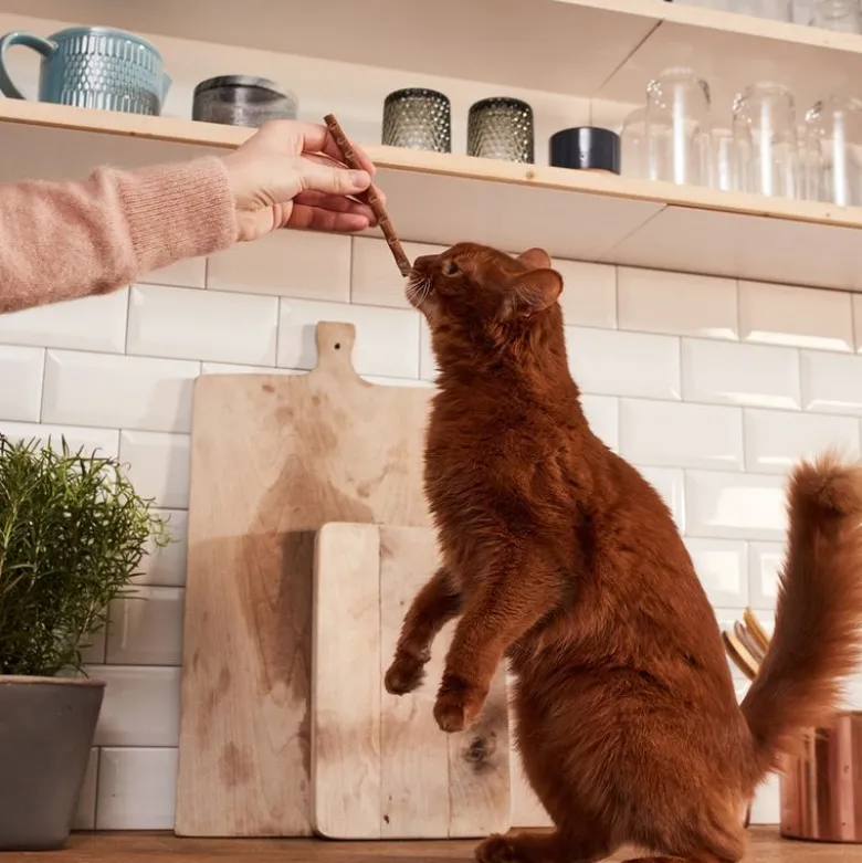 GimCat Sticks