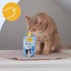 GimCat yoghurt til katte