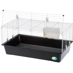 Gnaverbur Piggy Basic