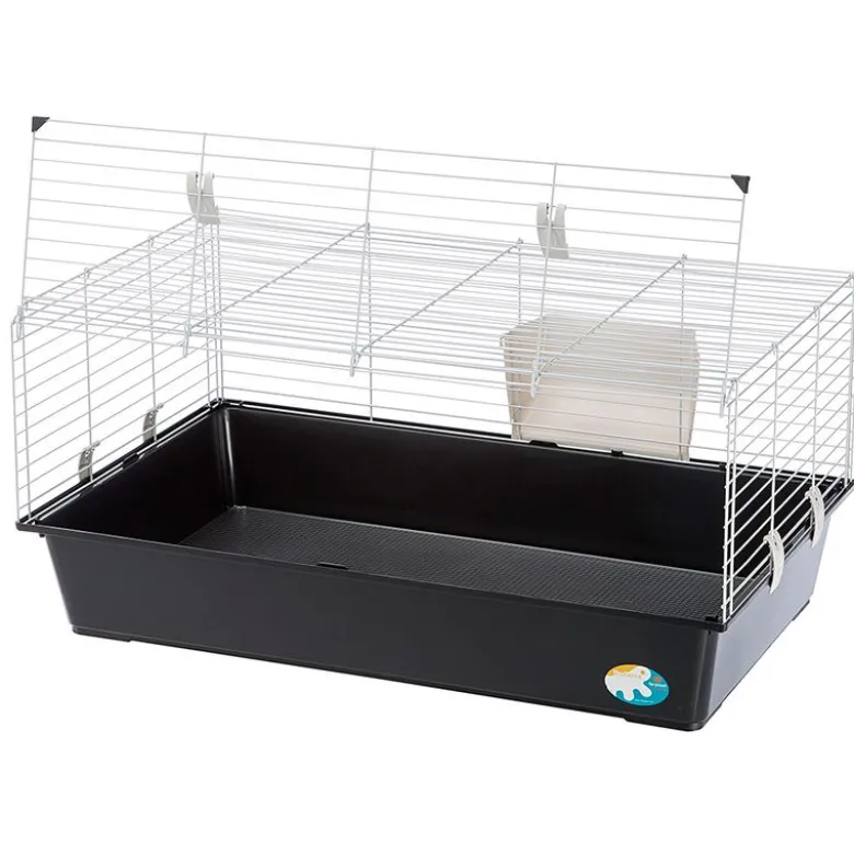 Gnaverbur Piggy Basic