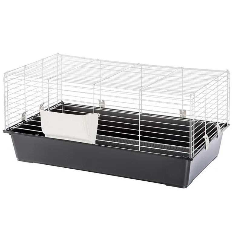 Gnaverbur Piggy Basic