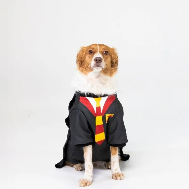 Harry Potter hundekostume