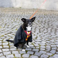 Harry Potter hundekostume
