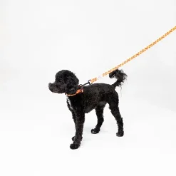 Harry Potter hundesnor Gryffindor