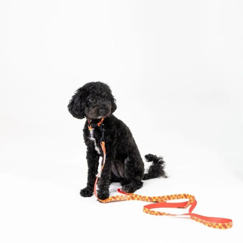 Harry Potter hundesnor Gryffindor