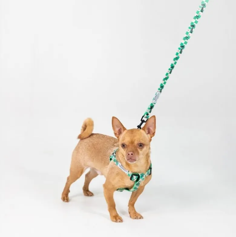 Harry Potter hundesnor Slytherin
