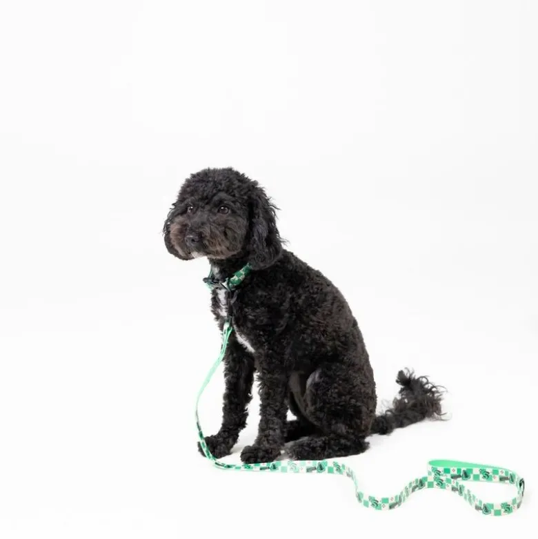 Harry Potter hundesnor Slytherin