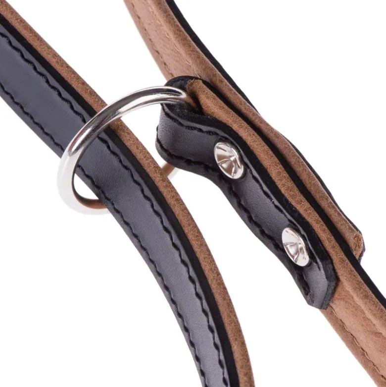 Heim Stars hundesnor, 200 cm