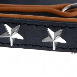 Heim Stars læderhalsbånd & hundesnor