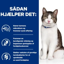 Hill's Prescription Diet Gastrointestinal Biome Stress med kylling