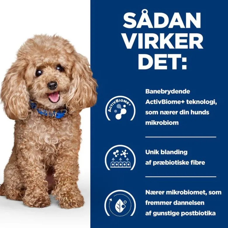 Hill's Prescription Diet Gastrointestinal Biome Mini med kylling