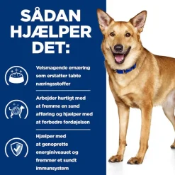Hill's Prescription Diet i/d Digestive Care med kylling