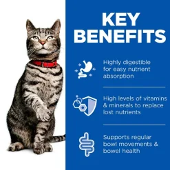 Hill's Prescription Diet i/d Digestive Care med kylling