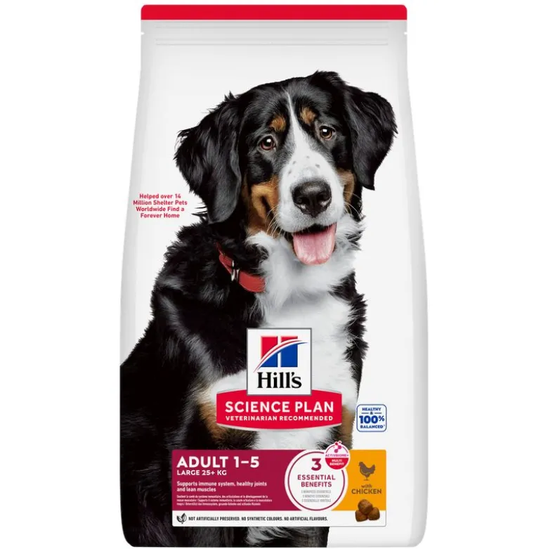 Hill's Science Plan Adult 1-5 Large med kylling