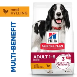 Hill's Science Plan Adult 1-6 Medium med kylling