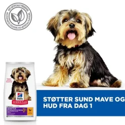 Hill's Science Plan Adult 1+ Sensitive Stomach & Skin Small & Mini med kylling