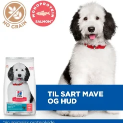 Hill's Science Plan Hypoallergenic Adult Large med laks