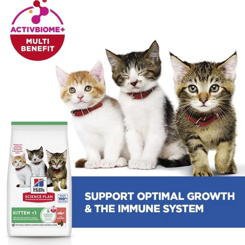Hill's Science Plan Kitten <1 Laks