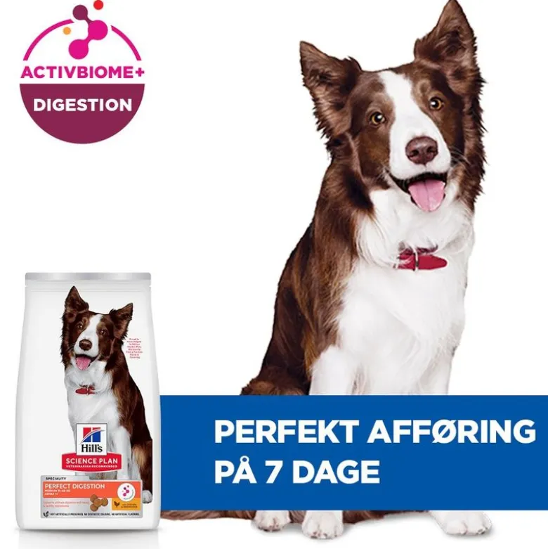 Hill's Science Plan Perfect Digestion Adult 1+ Medium med kylling & brune ris
