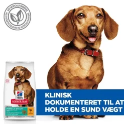 Hill's Science Plan Perfect Weight Adult 1+ Small & Mini med kylling