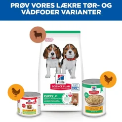 Hill's Science Plan Puppy <1 Medium med lam & ris