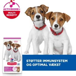 Hill's Science Plan Puppy Small & Mini Lam & Ris