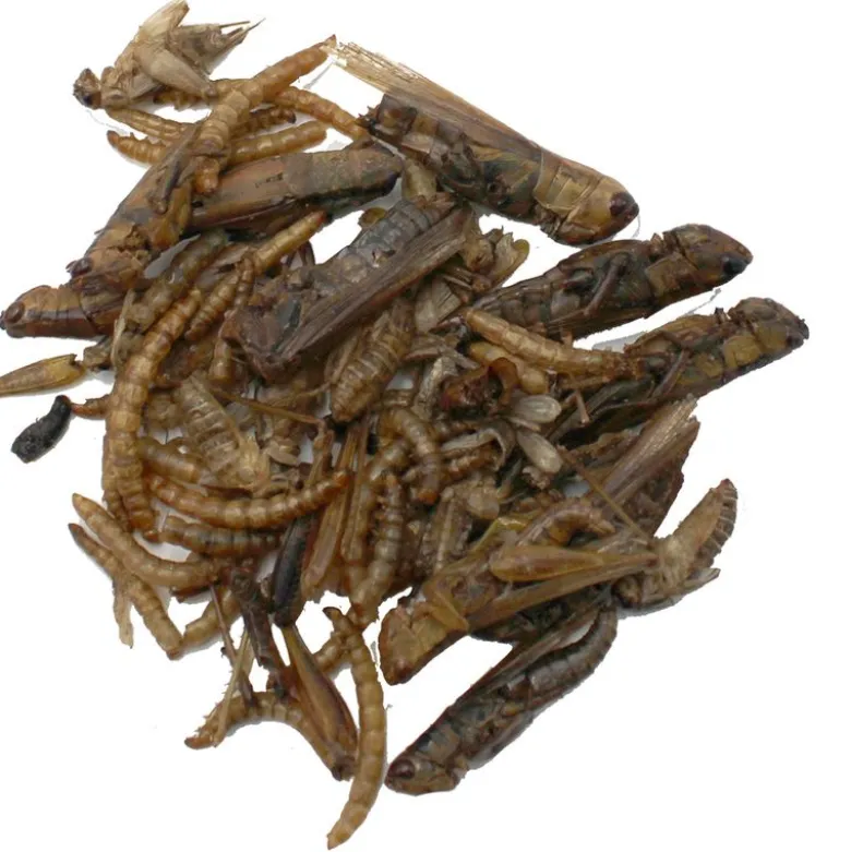 Hugro Protein Mix