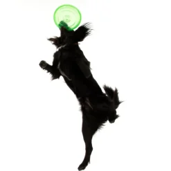 Hundefrisbee af TPE