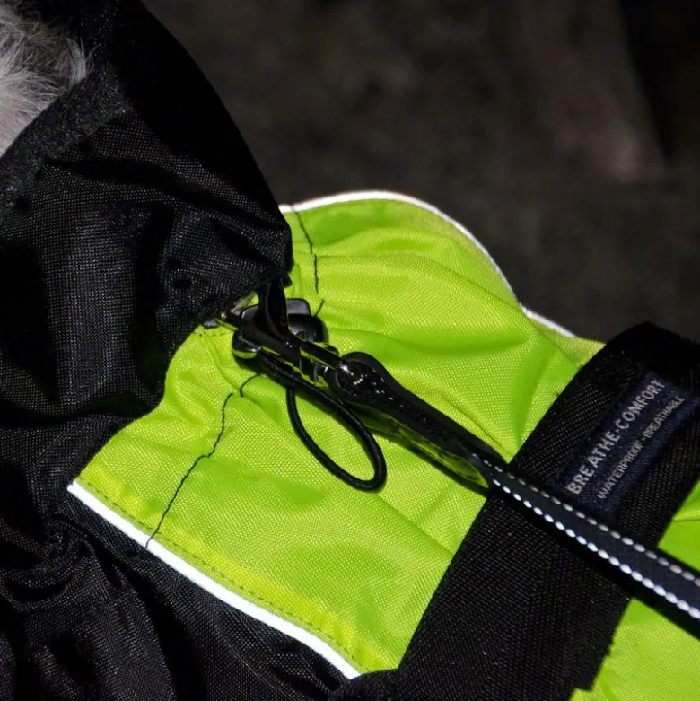 Hunde-regnjakke Illume Nite Neon
