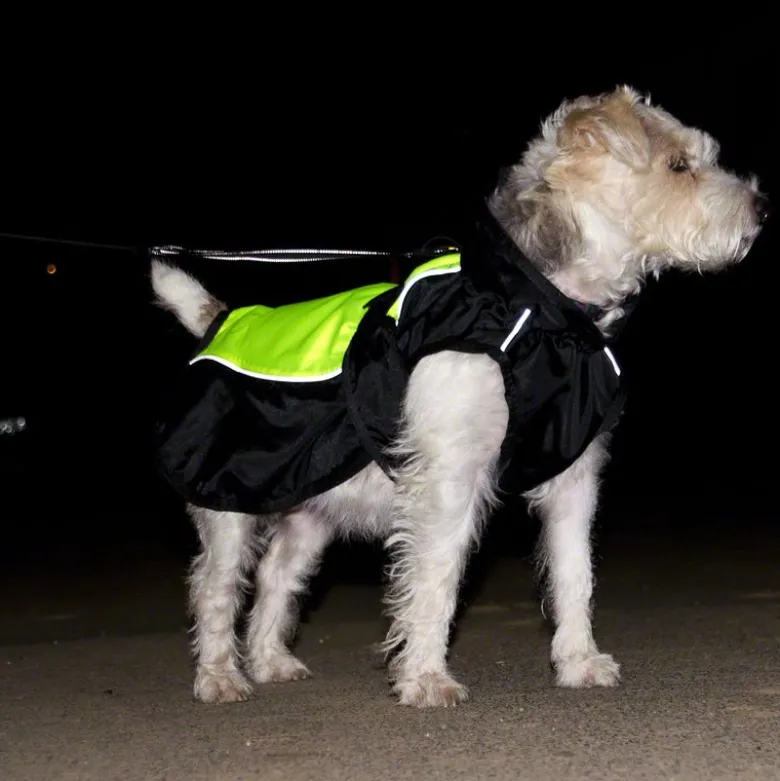 Hunde-regnjakke Illume Nite Neon