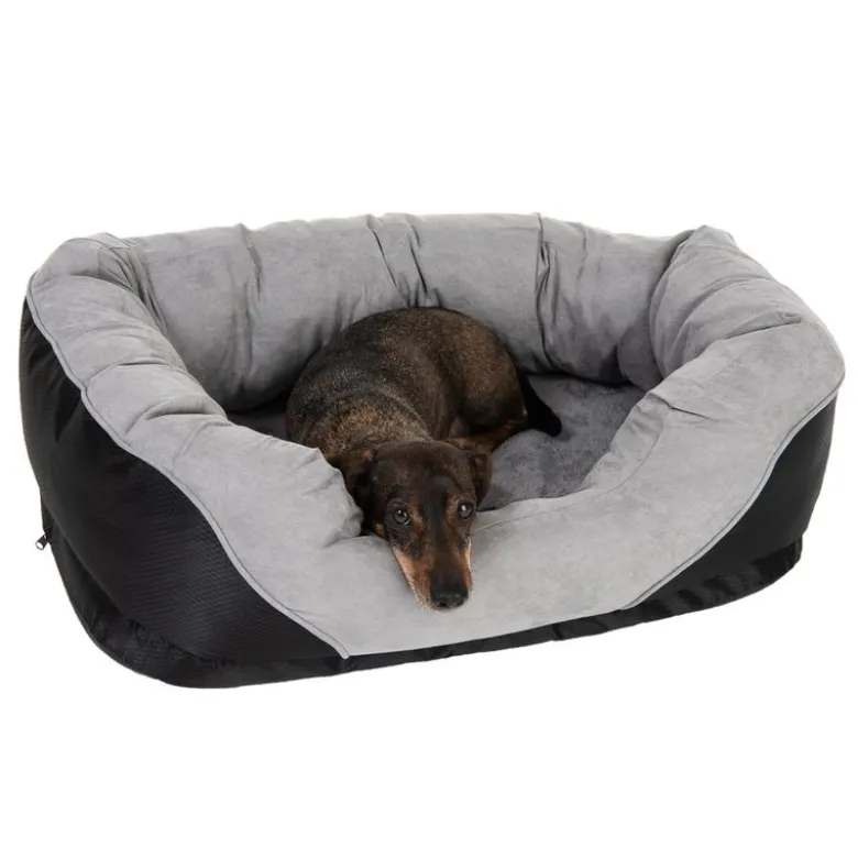 Hundeseng Lazy