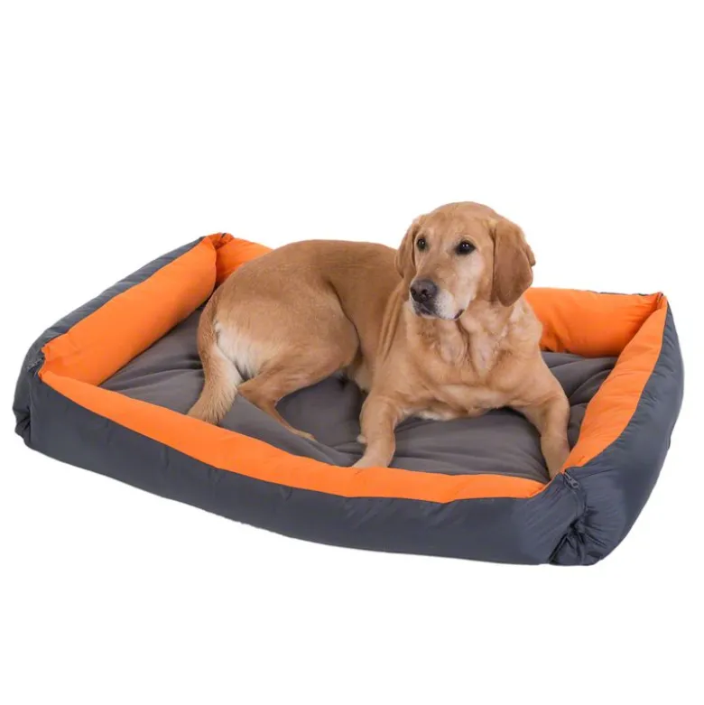Hundeseng Variabel orange