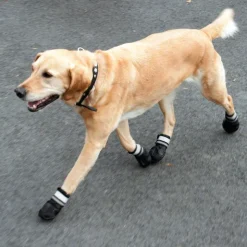 Hundesko S & P Boots