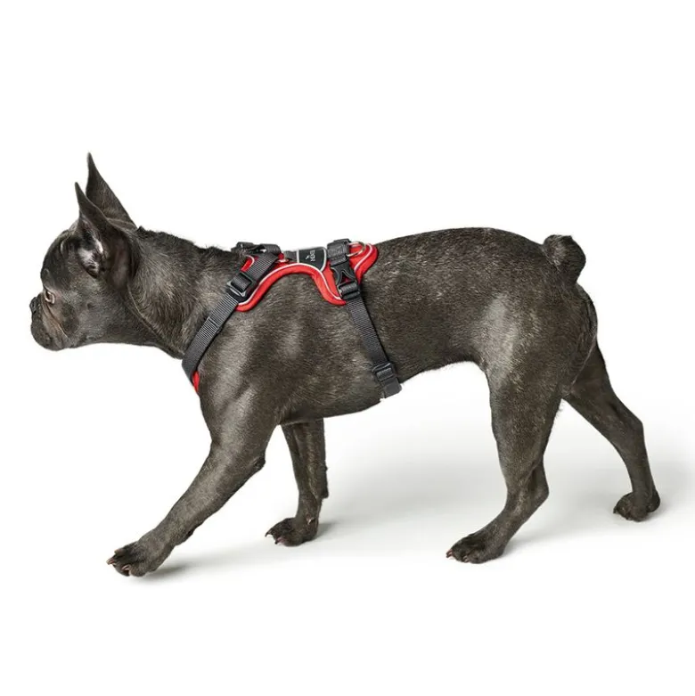 HUNTER Divo Sele, rød/grå