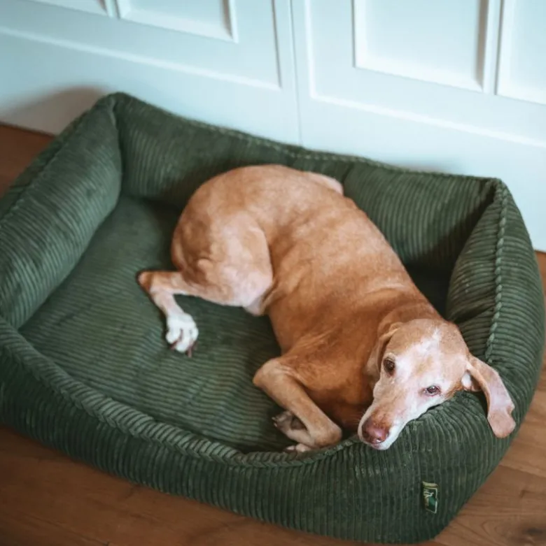 Hunter ergonomisk hundeseng Corbie