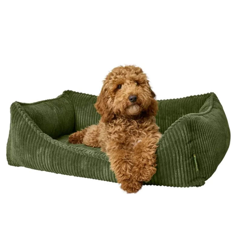 Hunter ergonomisk hundeseng Corbie